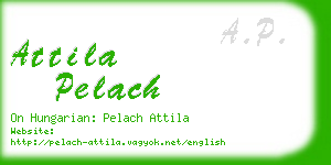attila pelach business card